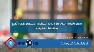 سعر أنبوبة البوتاجاز 2025: استقرار الأسعار رغم ارتفاع تكلفتها الحقيقية